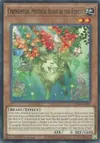 Product image for Cerynemesia, Mystical Beast of the Forest