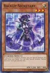 Product image for Backup Secretary