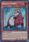 Product image for Rescue Ferret