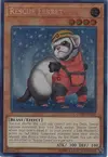 Product image for Rescue Ferret