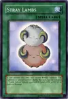 Product image for Stray Lambs