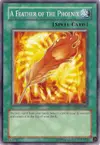 Product image for A Feather of the Phoenix