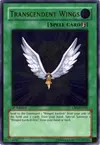 Product image for Transcendent Wings