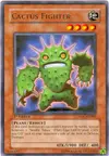 Product image for Cactus Fighter