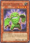 Product image for Cactus Fighter