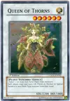 Product image for Queen of Thorns