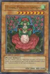 Product image for Tytannial, Princess of Camellias