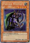Product image for Panther Warrior