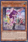 Product image for Bunny Ear Enthusiast
