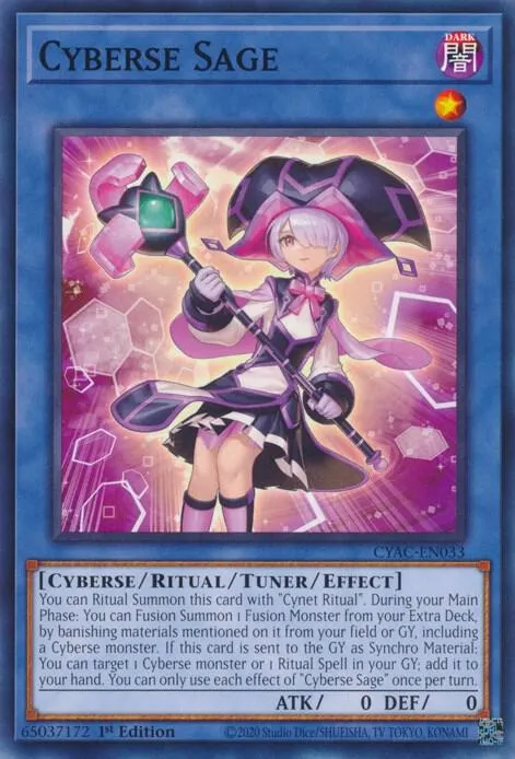 Sage Cyberse — Cyberstorm Access — Yu-Gi-Oh!