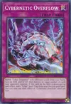 Product image for Cybernetic Overflow