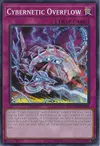Product image for Cybernetic Overflow