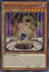 Product image for Impcantation Talismandra