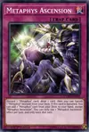 Product image for Metaphys Ascension