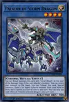 Product image for Paladin of Storm Dragon