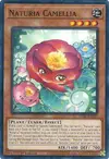 Product image for Naturia Camellia