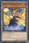 Product image for Prediction Princess Bibliomuse