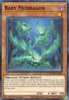 Product image for Baby Mudragon