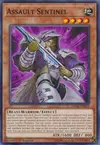 Product image for Assault Sentinel