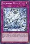 Product image for Snowman Effect