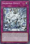 Product image for Snowman Effect