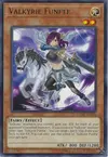Product image for Valkyrie Funfte