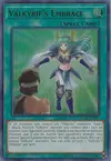 Product image for Valkyrie's Embrace