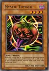 Product image for Mystic Tomato