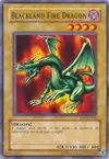 Product image for Blackland Fire Dragon