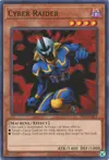 Product image for Cyber Raider