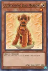 Product image for Outstanding Dog Marron