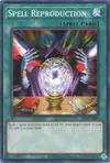 Product image for Spell Reproduction