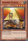 Product image for Pyramid Turtle