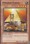 Product image for Pyramid Turtle