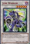 Product image for Junk Warrior
