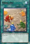 Product image for Fossil Dig