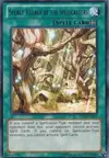 Product image for Secret Village of the Spellcasters