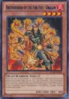 Product image for Brotherhood of the Fire Fist - Dragon