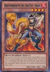 Product image for Brotherhood of the Fire Fist - Snake