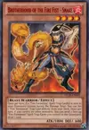 Product image for Brotherhood of the Fire Fist - Snake