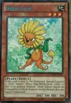 Product image for Dandylion