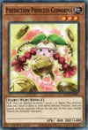 Product image for Prediction Princess Coinorma