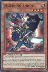 Product image for Beginning Knight