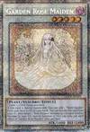 Product image for Garden Rose Maiden