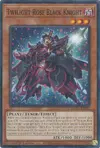 Product image for Twilight Rose Black Knight