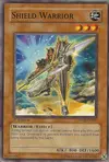 Product image for Shield Warrior