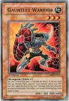 Product image for Gauntlet Warrior