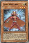 Product image for Level Warrior