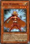 Product image for Level Warrior