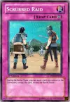 Product image for Scrubbed Raid